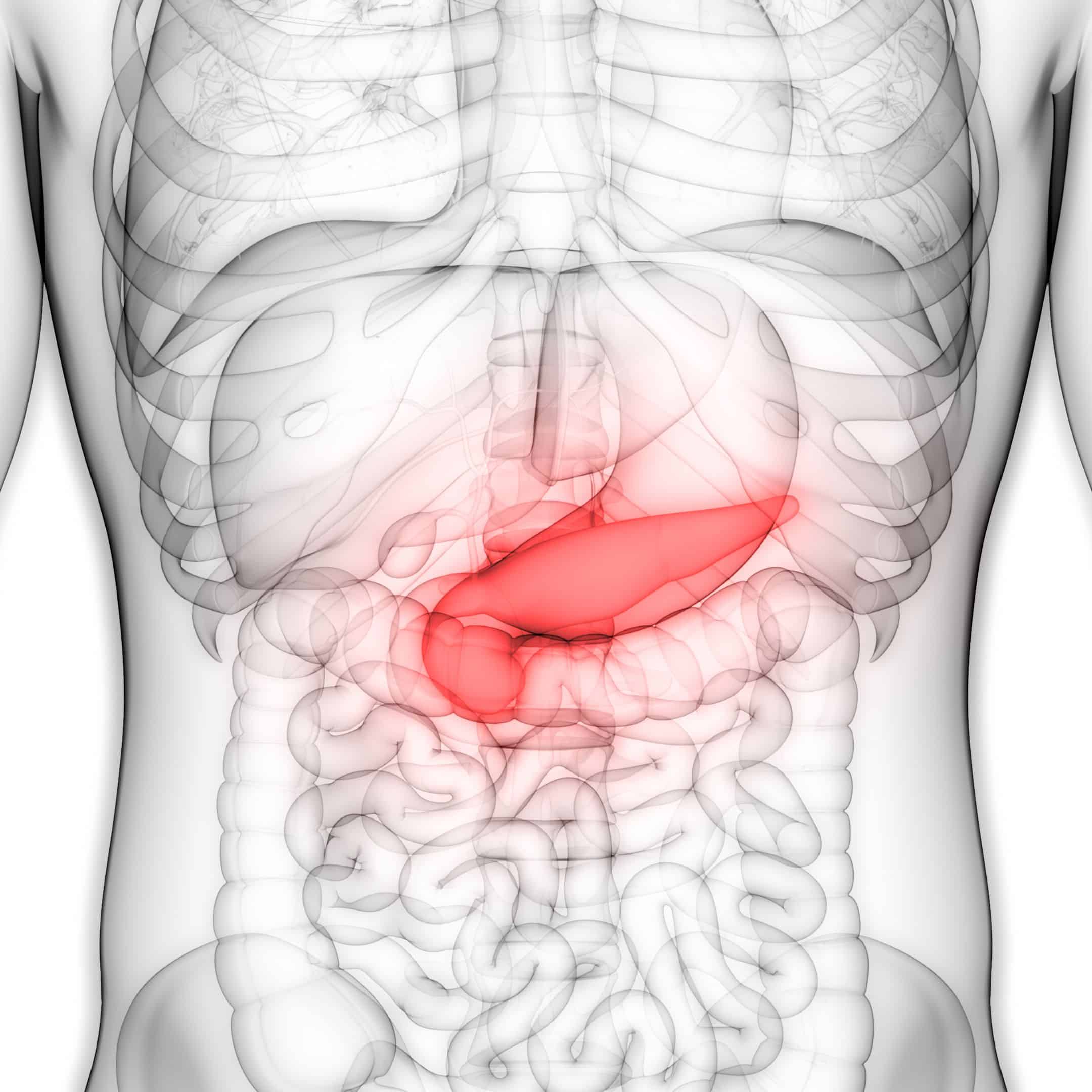 Gastrolog pancreas