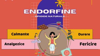 endorfina