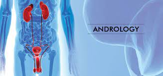 Urologie - Andrologie