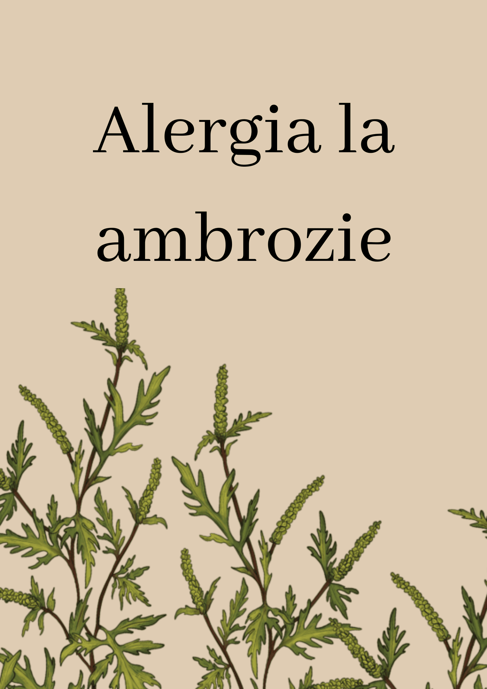 alergie ambrozie