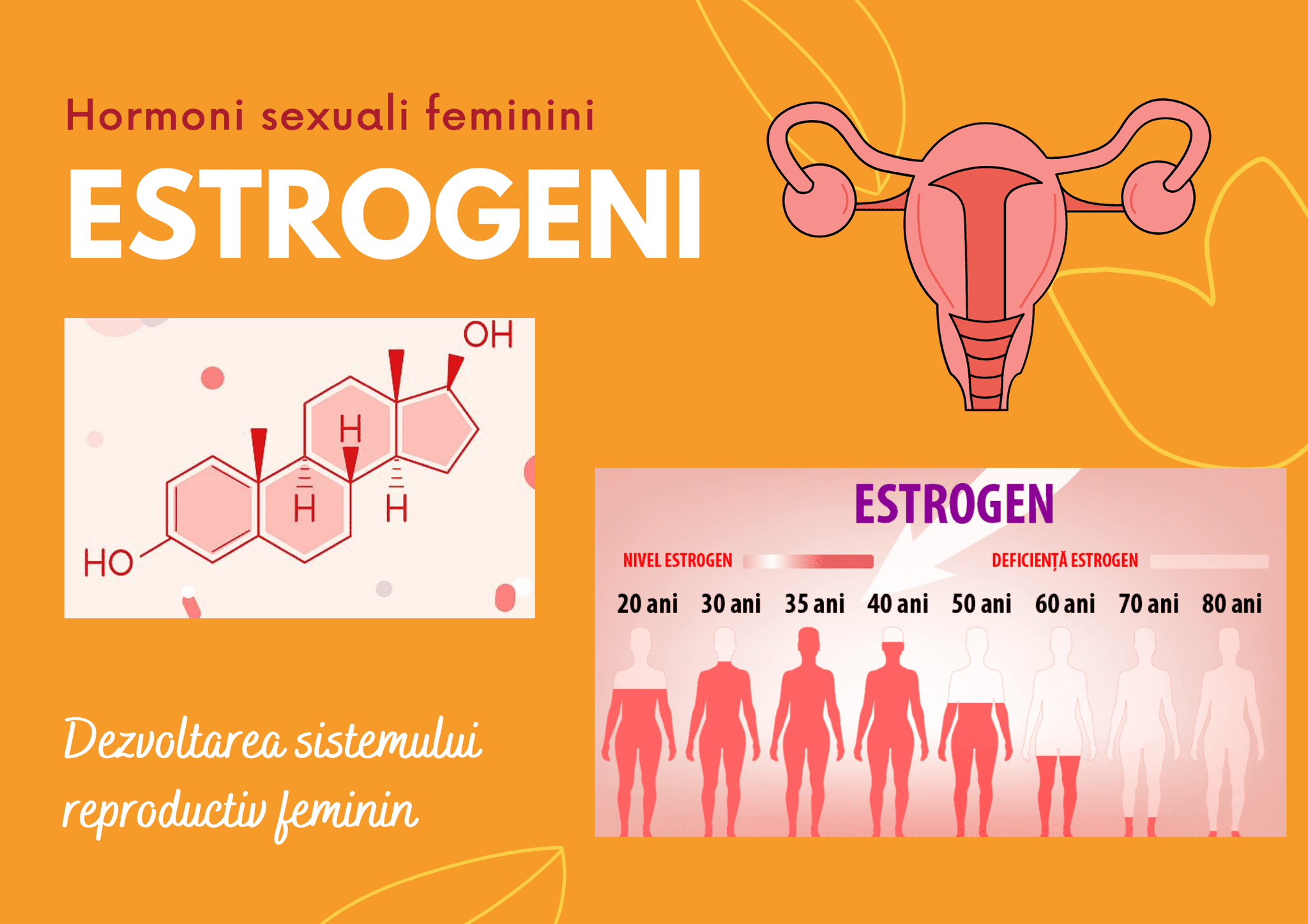 estrogen medic endocrinolog