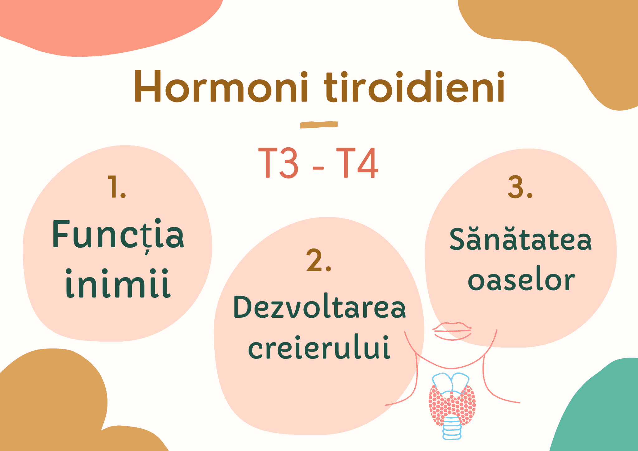 hormoni tirodieni
